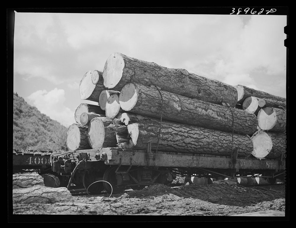 Logs on flatcar which will take them into town from mountain logging camp. The lumbering industry in the eastern part of the…
