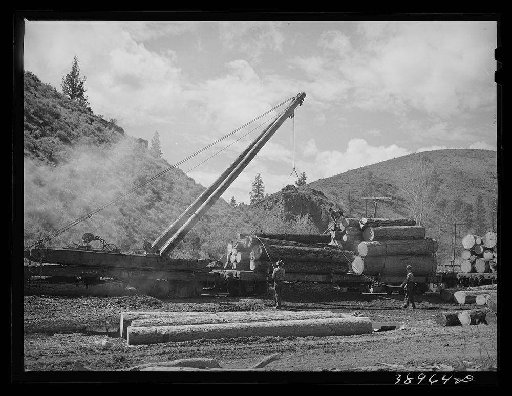 Lifting logs onto flatcars with derricks. Baker County, Oregon. State-supported schools in Oregon receive a good portion of…