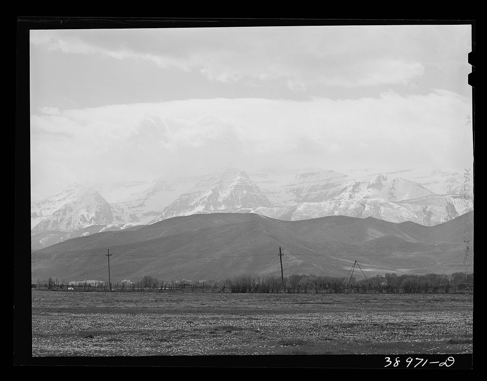 [Untitled photo, possibly related to: Spring pasture with the snow-covered Uinta Mountains in the background. Heber, Utah]…