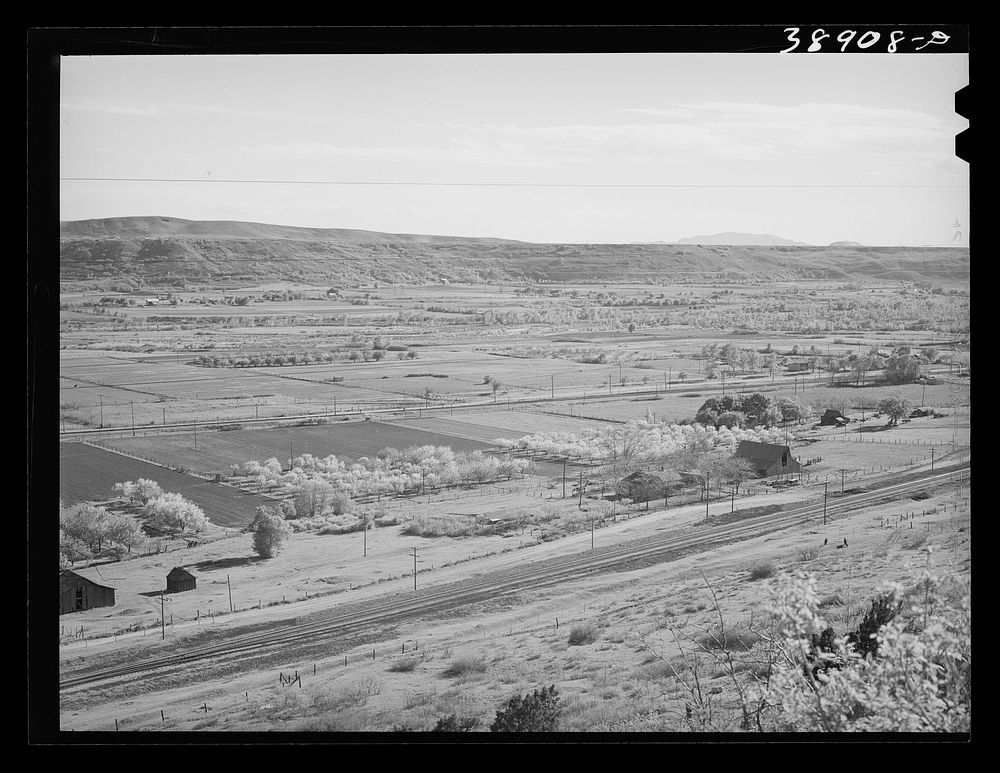 Farming land in the valley of the Wever River. Morgan County, Utah by Russell Lee