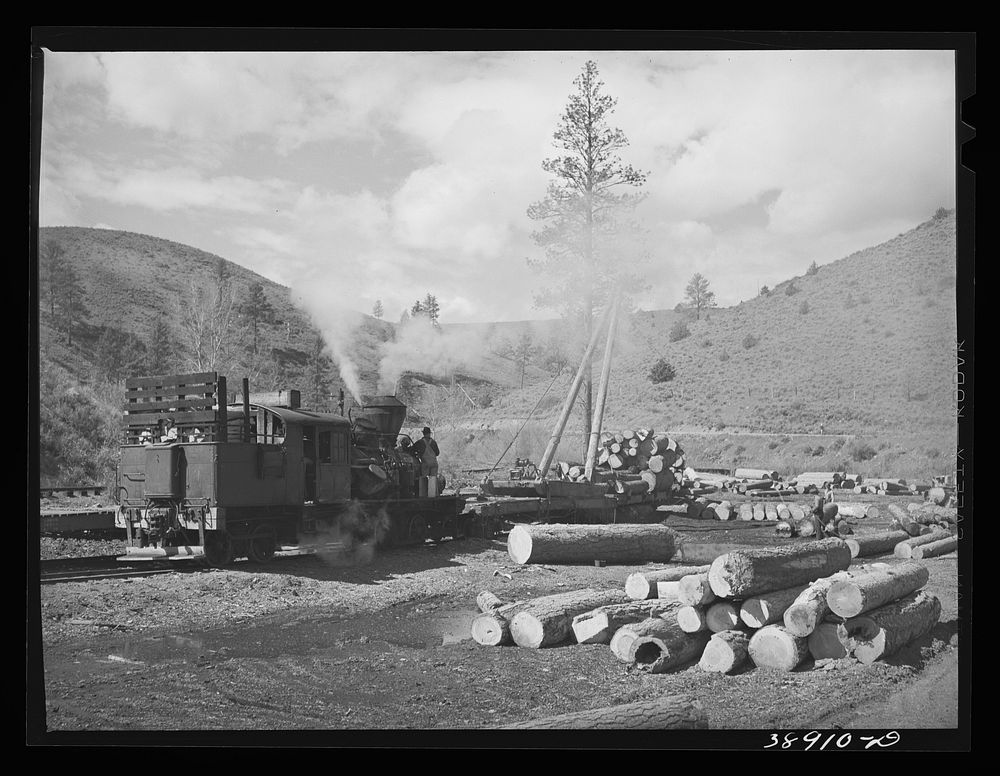 Log loading station of small logging camp. Baker County, Oregon by Russell Lee