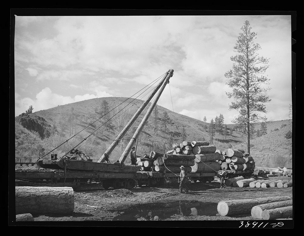 Loading logs onto railroad cars for transportation into town. Baker County, Oregon by Russell Lee