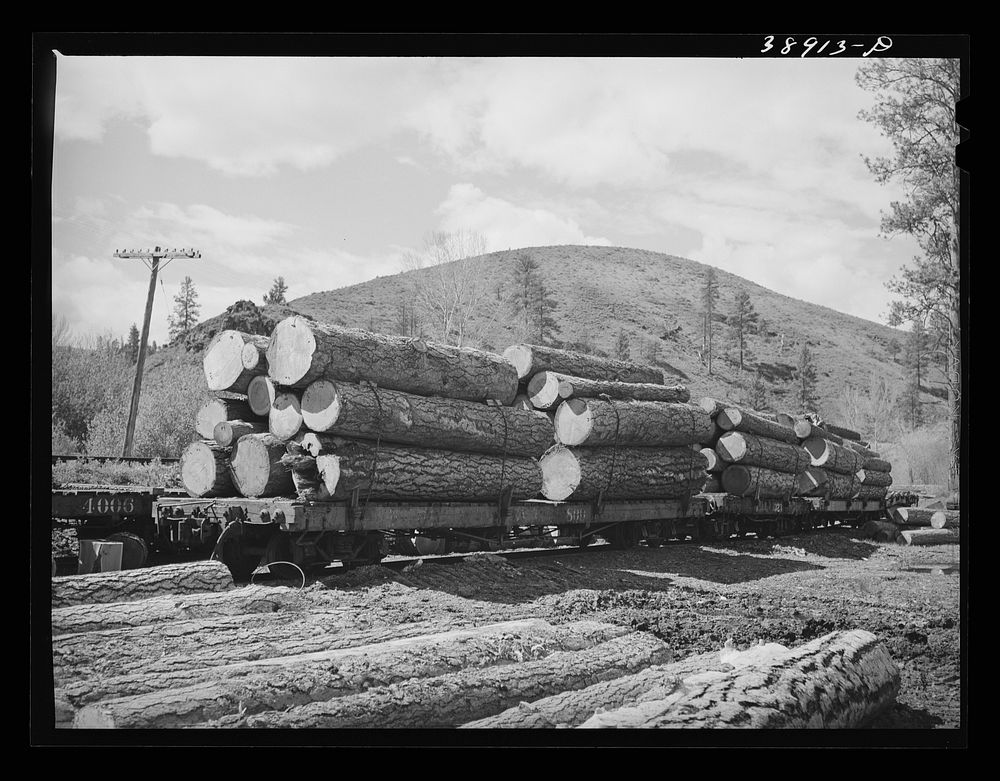 Logs on railroad cars. The logs have been brought from the mountains and will be sent on into town. Baker County, Oregon by…