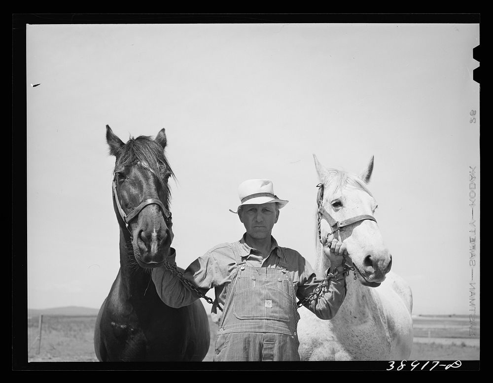[Untitled photo, possibly related to: Mr. Browning and his team. He is a FSA (Farm Security Administration) rehabilitation…