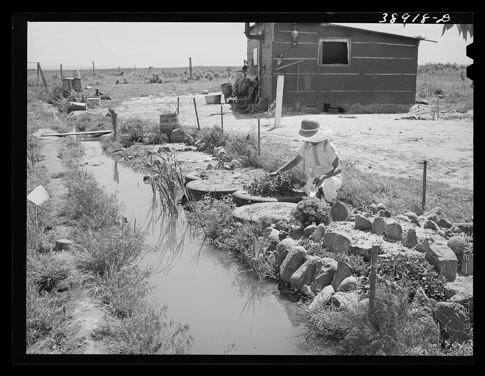 Garden by irrigation ditch and home of the Browning family, FSA (Farm Security Administration) rehabilitation borrowers.…