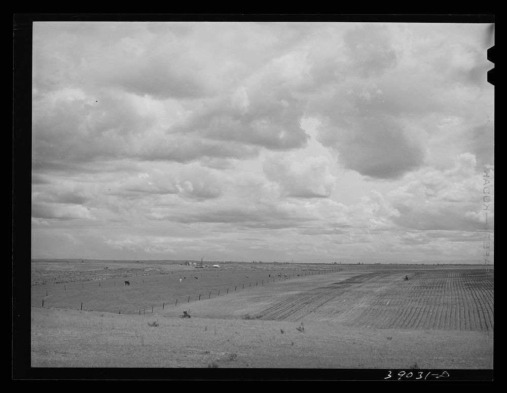 Farming land. Dead Ox Flat, Malheur County, Oregon by Russell Lee