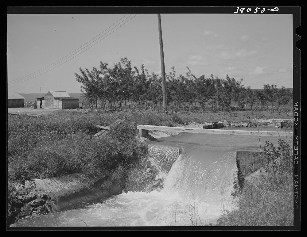 Irrigation ditch and farmstead. Nyssa Heights, Malheur County, Oregon. This is a part of the Vale-Owyhee irrigation project…