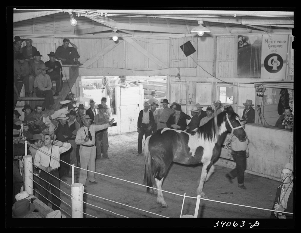 Auctioning off a horse at sale. Ontario, Oregon by Russell Lee
