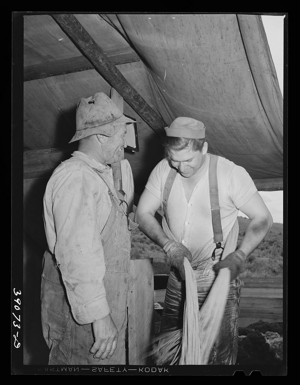 Sheep shearers on ranch in Malheur County, Oregon. The cord around the waist of man on right is used to sew up the sacks…
