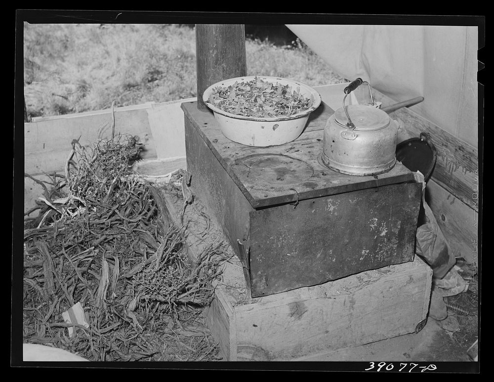 Cook stove in tent home of young farmer and his wife. Vale-Owyhee irrigation project, Malheur County, Oregon. This is first…