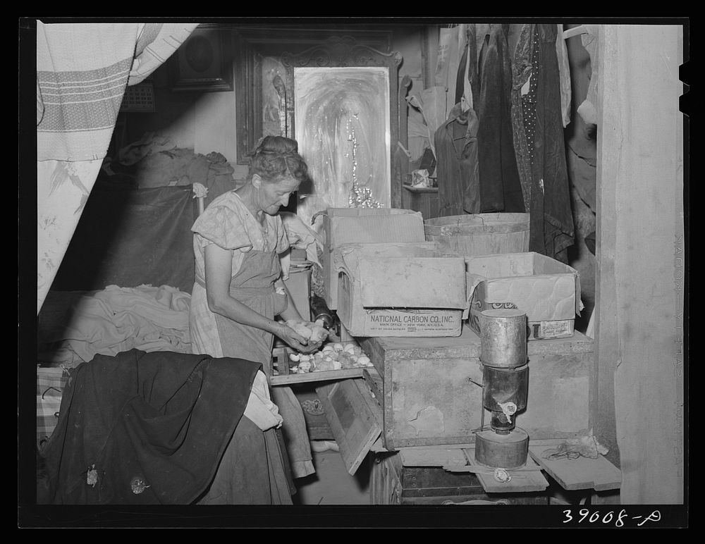 Mrs. Free, wife of FSA (Farm Security Administration) rehabilitation borrower, with incubator in her basement house. Dead Ox…