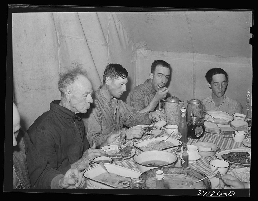 [Untitled photo, possibly related to: Sheep shearers eating dinner in central tent. Ranch in Malheur County, Oregon. The…