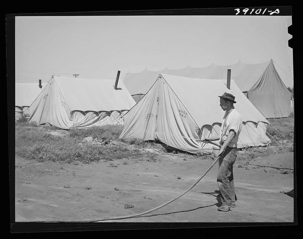 Farm worker watering down the dusty ground around his tent at the FSA (Farm Security Administration) migratory labor camp…