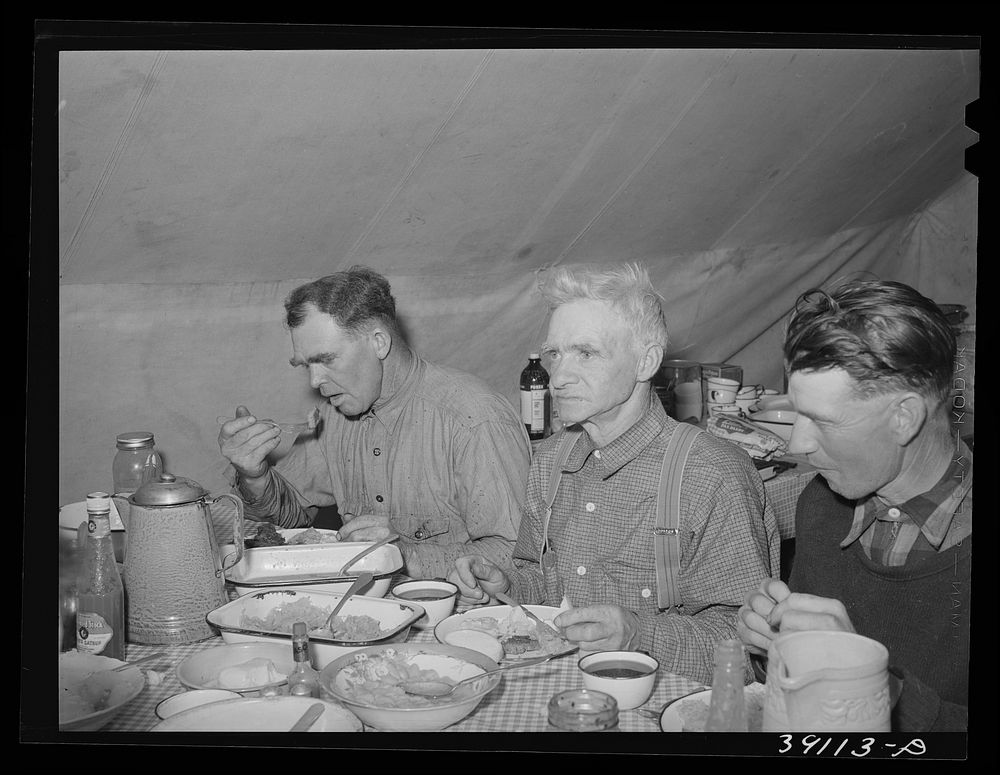[Untitled photo, possibly related to: Oldtime sheepman who was visiting the sheep shearers' outfit for dinner. Ranch in…