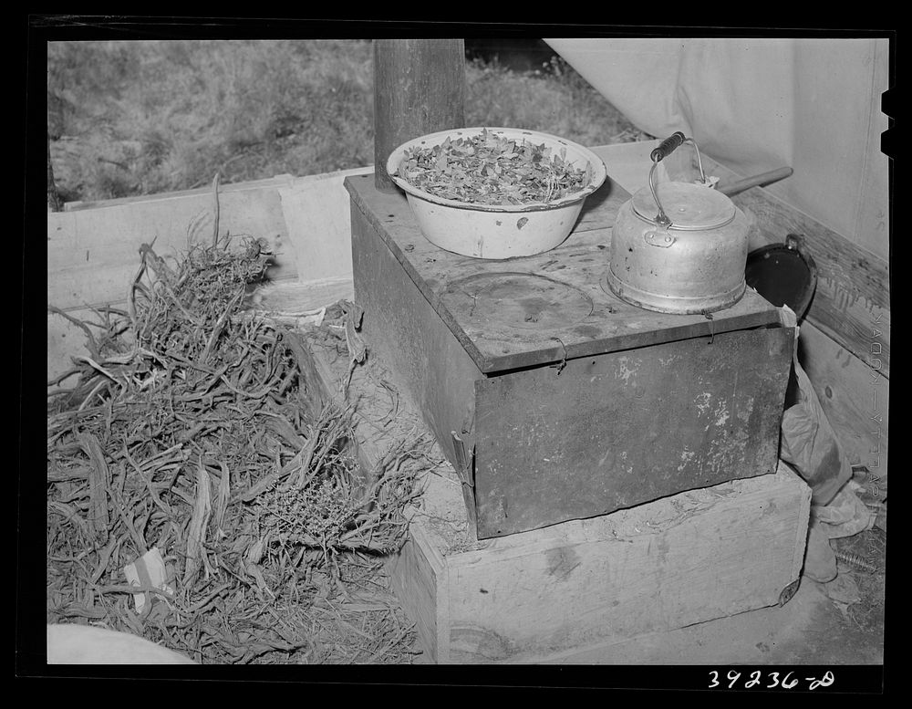 [Untitled photo, possibly related to: Cook stove in tent home of young farmer and his wife. Vale-Owyhee irrigation project…