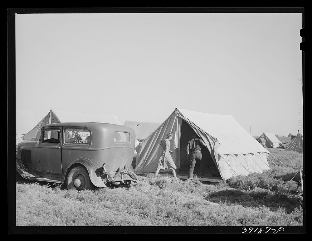 Farm workers unloading their car and moving into tent in which they will live at the FSA (Farm Security Administration)…
