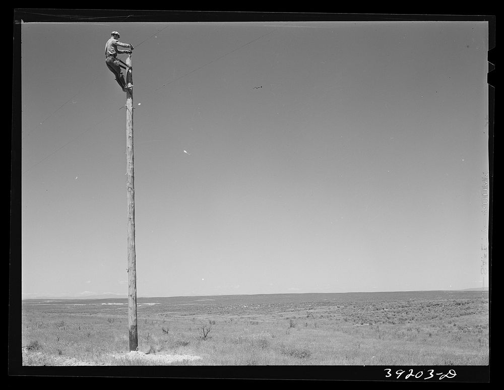 [Untitled photo, possibly related to: Lineman. Canyon County, Idaho] by Russell Lee