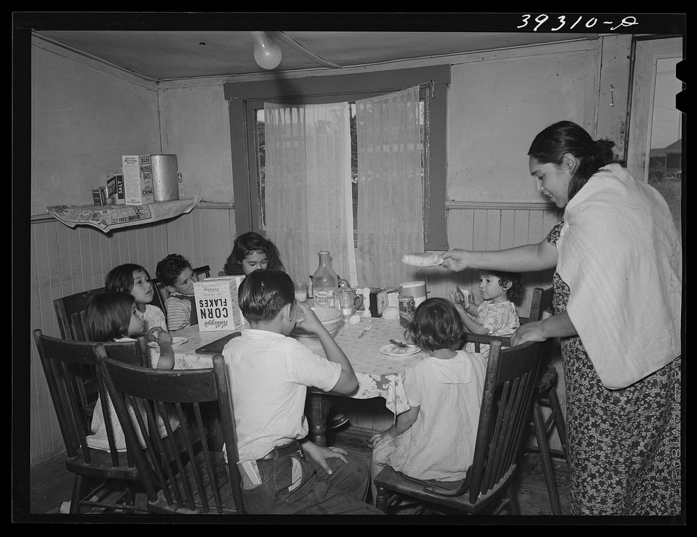 Eight Mexican children eating lunch of tortilla wrapped around chile to form enchiladas, milk and corn flakes. San Diego…