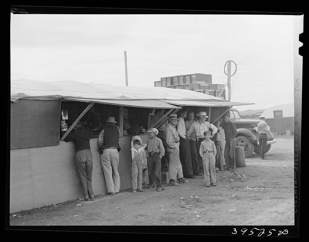 Commissary in the labor contractor's pea pickers camp. Canyon County, Idaho by Russell Lee