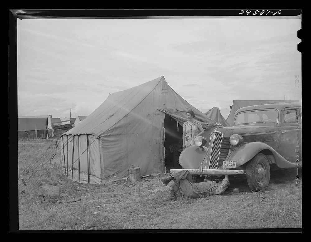 [Untitled photo, possibly related to: Tents and trailers in pea pickers' (labor contractor) camp. Canyon County, Idaho] by…