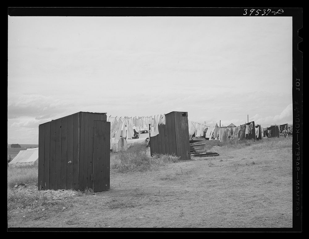 [Untitled photo, possibly related to: Privies at the contractor's pea pickers camp. Canyon County, Idaho. Contractor is…