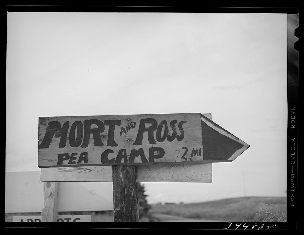 Sign of contractor's pea workers camp. Canyon County, Idaho by Russell Lee