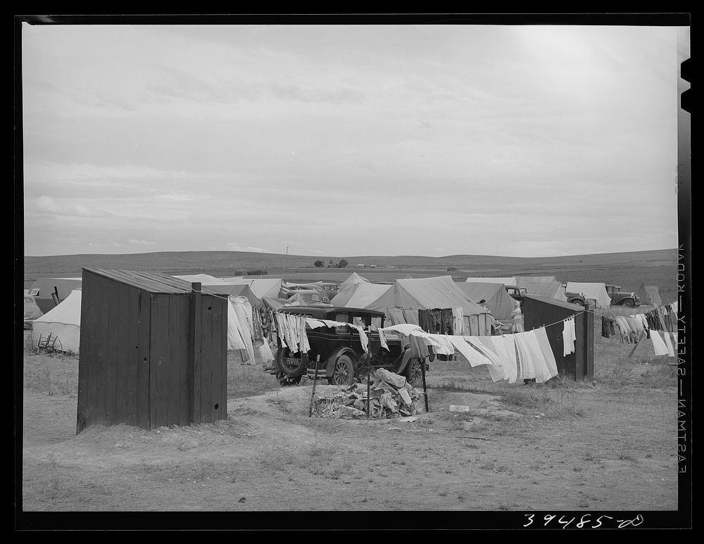 Privies at the contractor's pea pickers camp. Canyon County, Idaho. Contractors are responsible for renting campsite and…