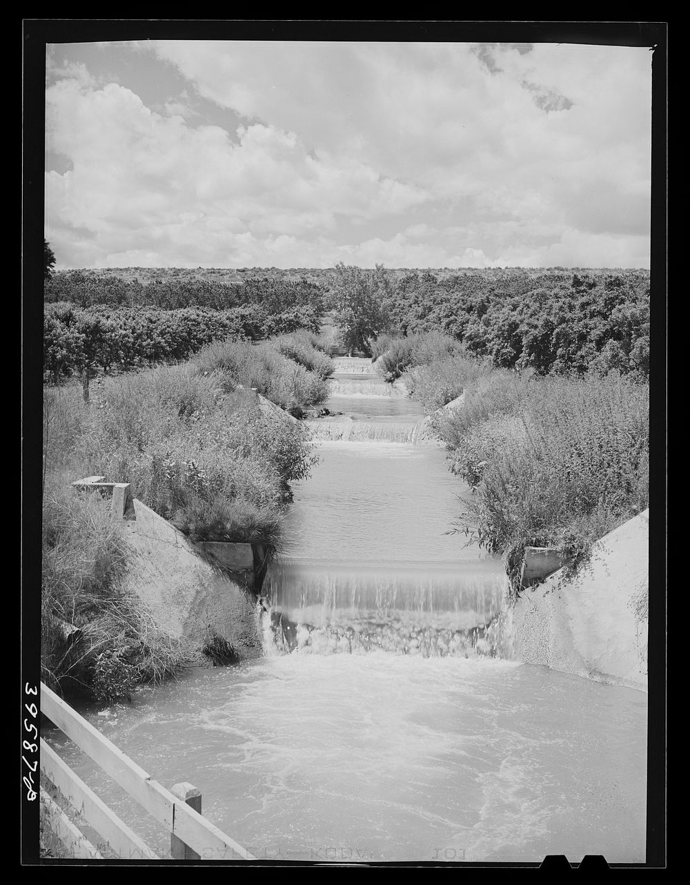 Lateral irrigation ditch in orchard. Canyon County, Idaho by Russell Lee
