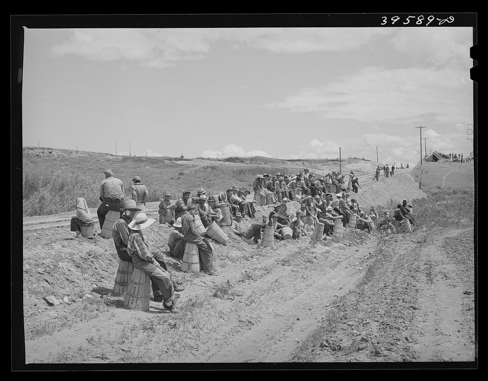 Pea pickers (labor contractor's crew) waiting to start work in the fields. Canyon County, Idaho by Russell Lee