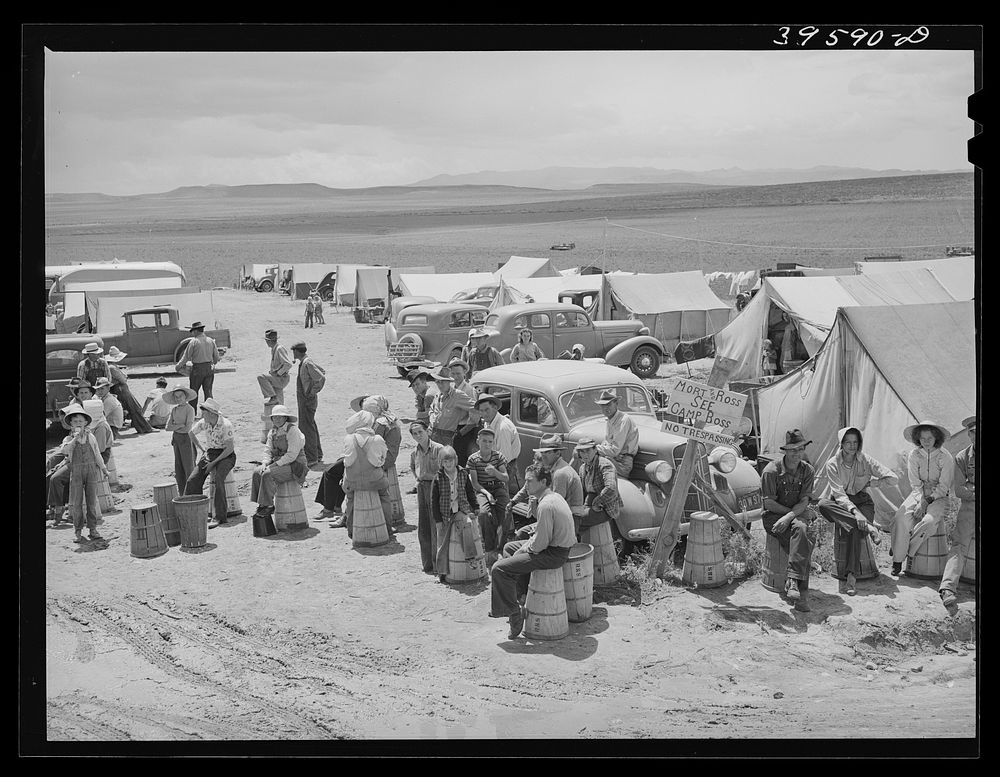 Labor contractor's pea pickers camp. Canyon County, Idaho. The people are waiting to go to the fields by Russell Lee