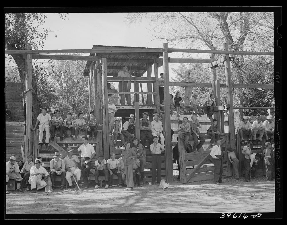 Spectators at kids' contests at the Fourth of July celebration at Vale, Oregon by Russell Lee