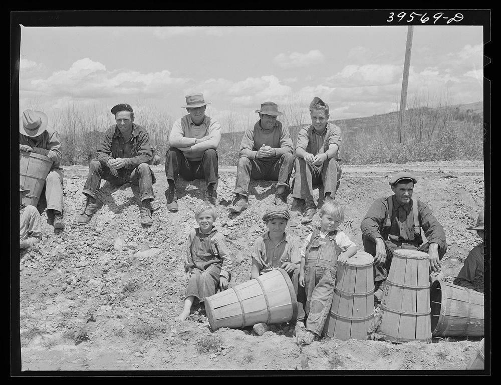 Pea pickers waiting to start work. Canyon County, Idaho. These pickers travel with a labor contractor. The children who are…