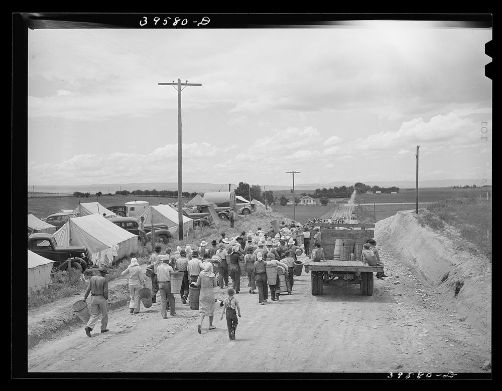 Pea pickers leaving labor contractor camp for field. Canyon County, Idaho by Russell Lee
