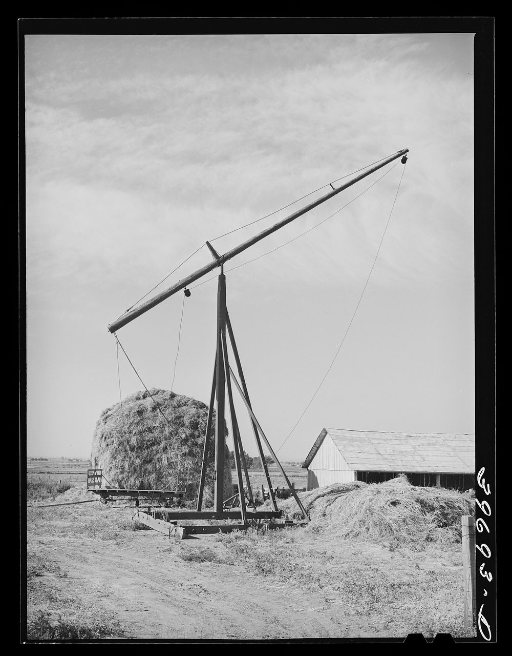 Hay stacker and hay stack on farm of member of the Dairymen's Cooperative Creamery. Caldwell, Canyon County, Idaho by…