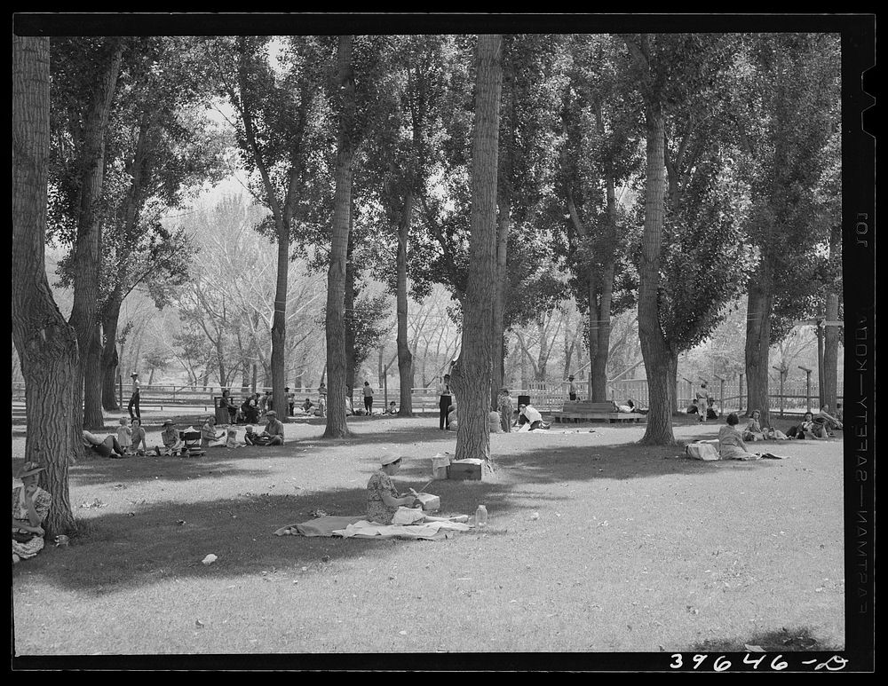Picnicking in the shade. Fourth of July, Vale, Oregon by Russell Lee