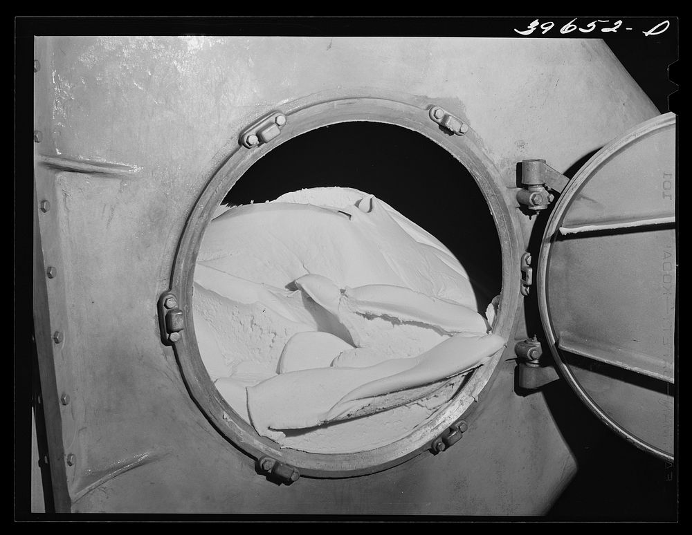 Butter in churn of the Dairymen's Cooperative Creamery. Caldwell, Canyon County, Idaho. Average price paid to members in…