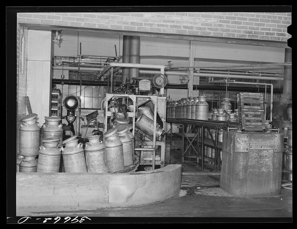 Sterilizing milk cans at the Dairymen's Cooperative Creamery. Caldwell, Canyon County, Idaho by Russell Lee