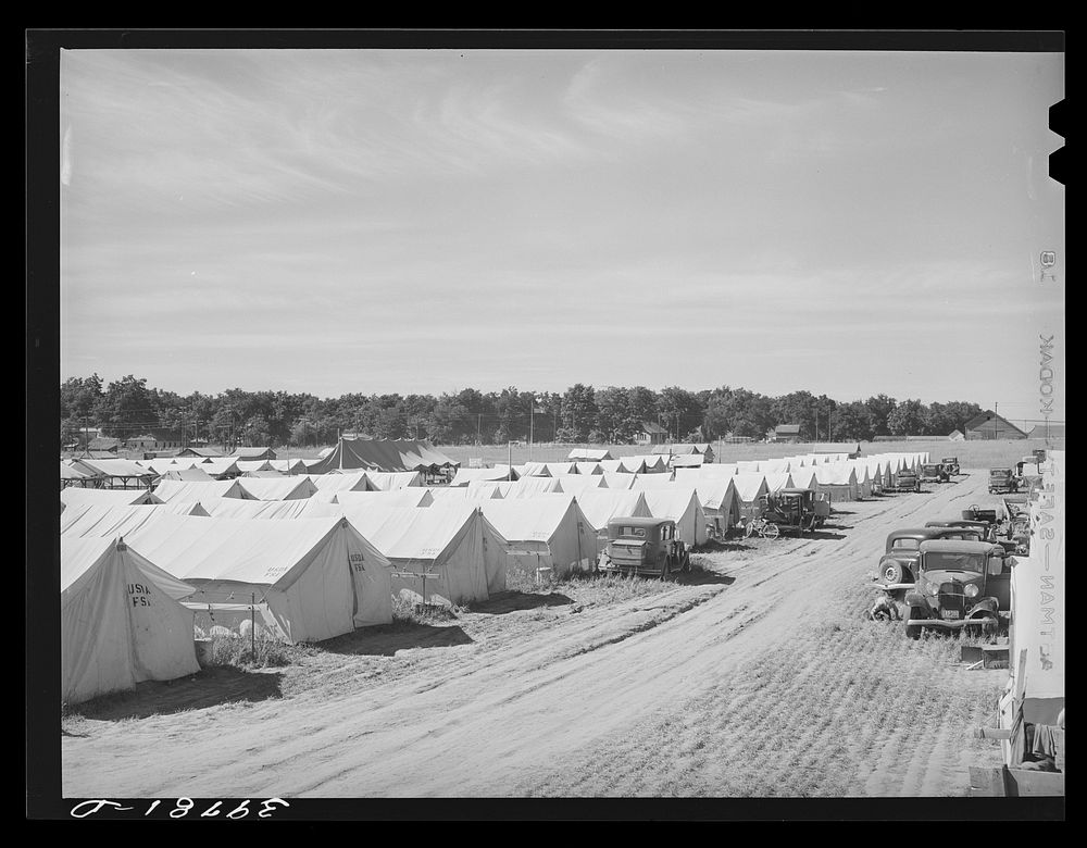 [Untitled photo, possibly related to: Rows of tents at the FSA (Farm Security Administration) migratory farm labor camp…