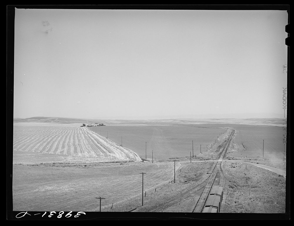 Wheat land and railroad. Eureka Flats, Walla Walla County, Washington by Russell Lee