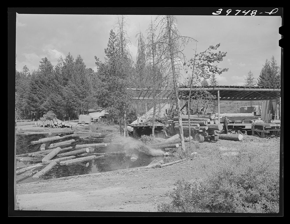 Unloading logs from trucks into pond. Cascade, Idaho by Russell Lee
