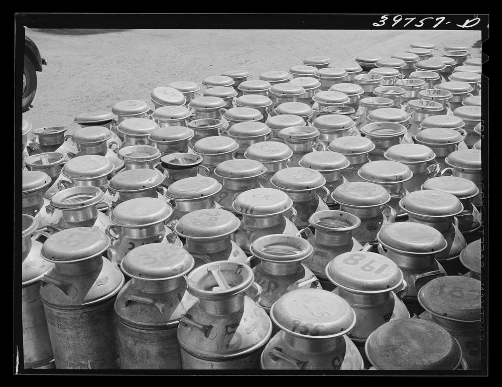Milk cans at the Dairymen's Cooperative Creamery. Caldwell, Canyon County, Idaho. Each member has a number and this number…