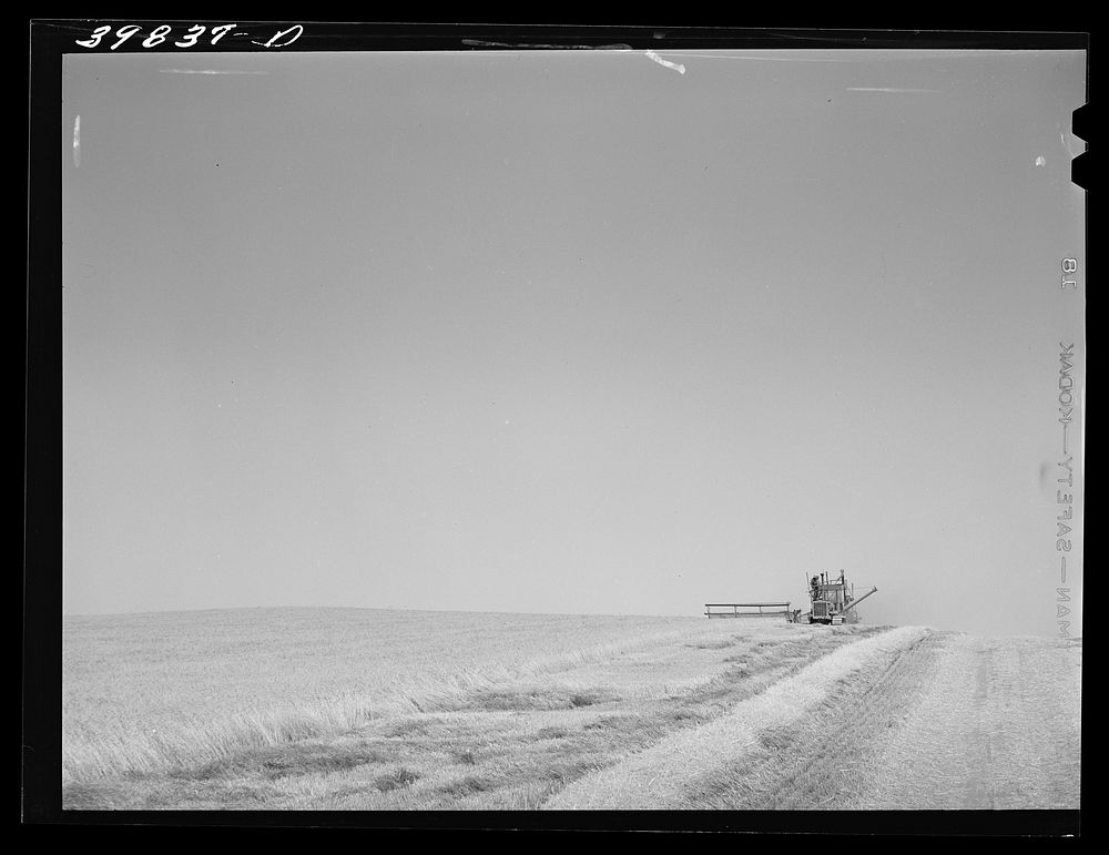 Tractor-drawn combine in wheat fields on Eureka Flats. Walla Walla County, Washington by Russell Lee