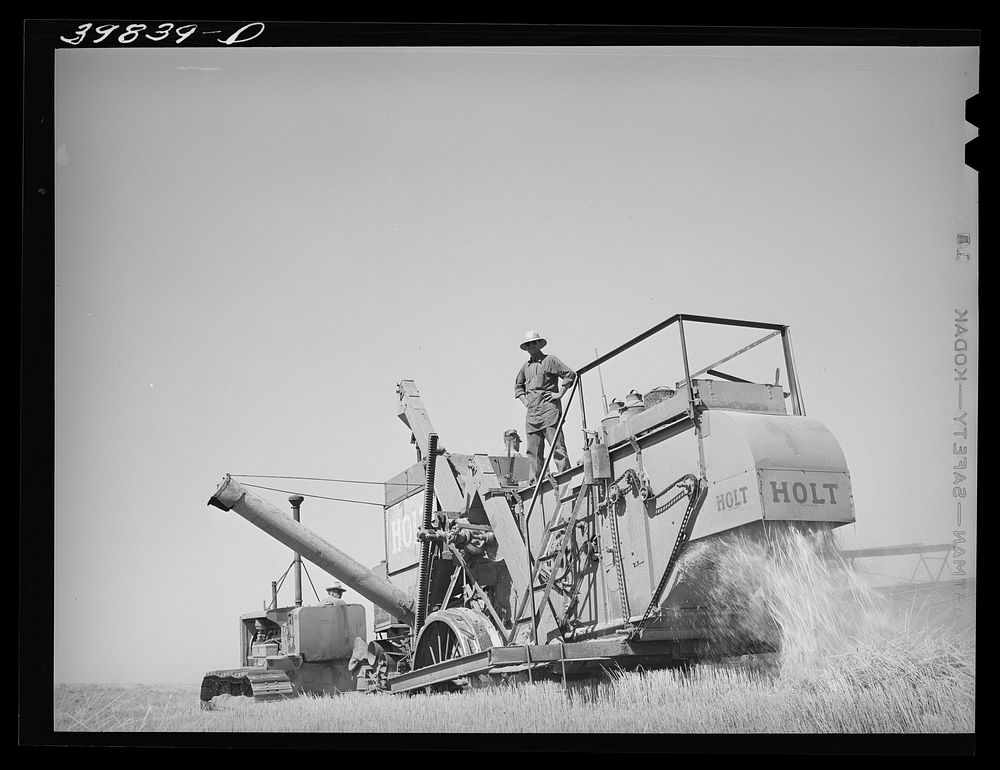 The straw pours from combine used in wheat fields on Eureka Flats. Walla Walla County, Washington by Russell Lee