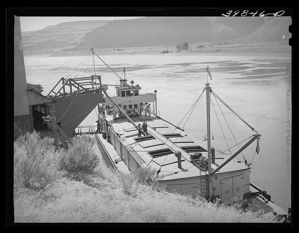 Loading bulk wheat into barge which will carry it down the Columbia River from Port Kelly to Portland. Walla Walla County…