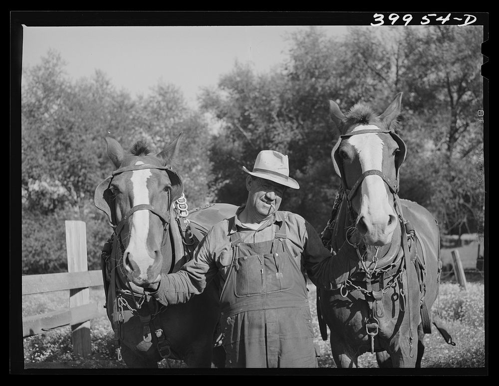 [Untitled photo, possibly related to: Wheat farmer. Whitman County, Washington] by Russell Lee