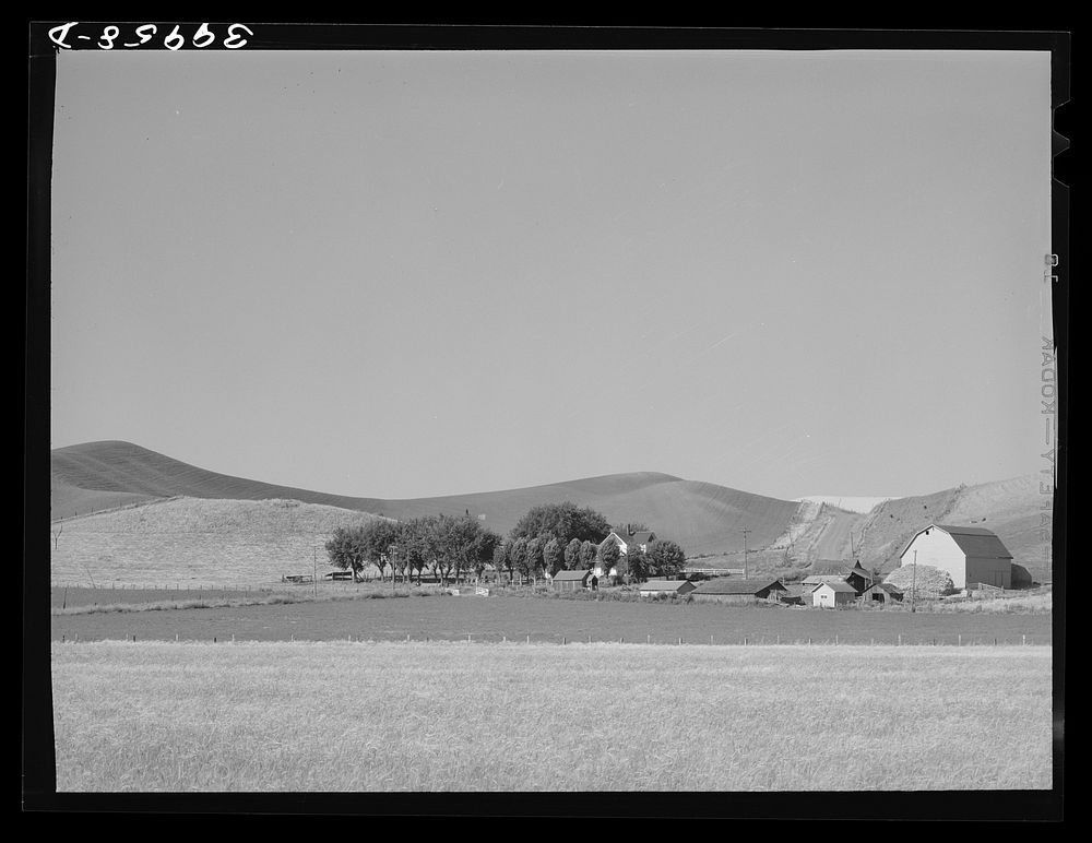 [Untitled photo, possibly related to: Farmstead and wheatland. Whitman County, Washington] by Russell Lee