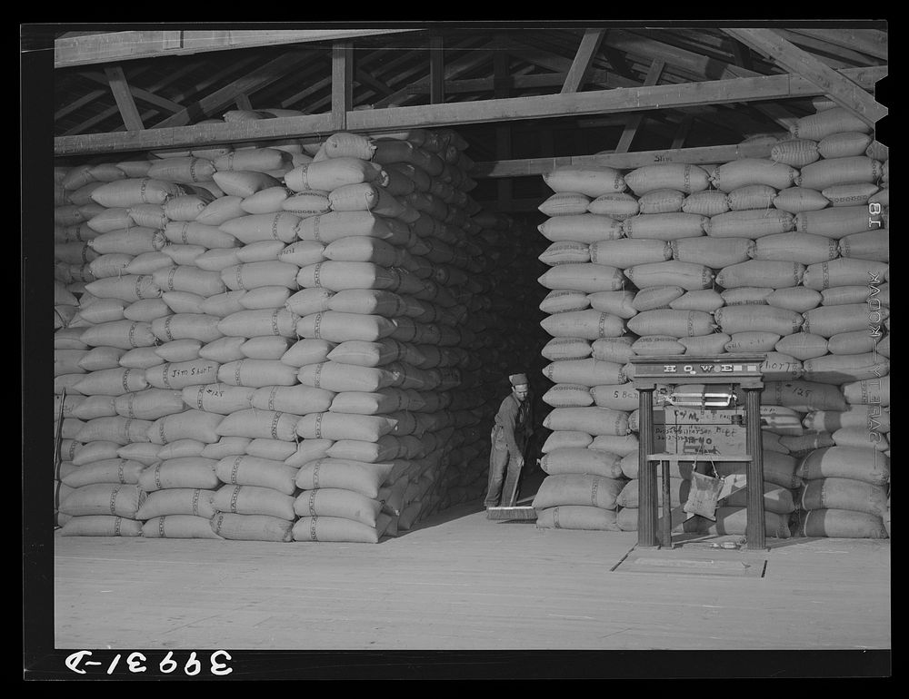 Sack warehouse for wheat. Walla Walla County, Washington by Russell Lee