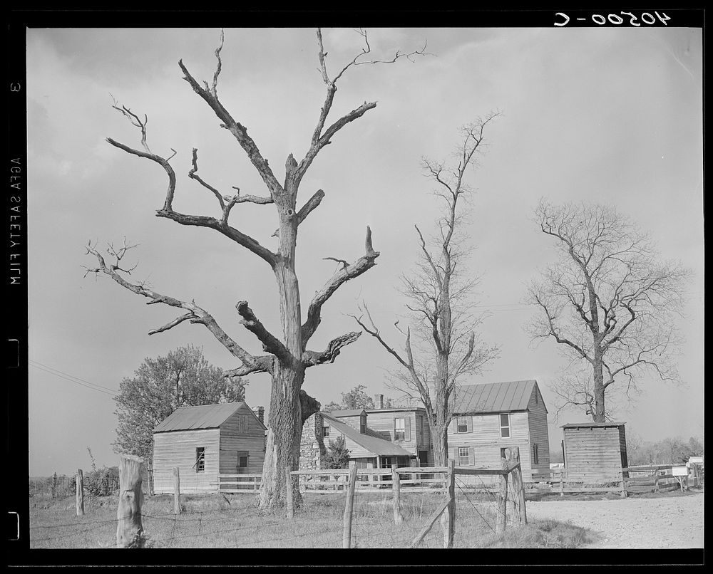 [Untitled photo, possibly related to: Houses at crossroads, two miles west of Sterling]. Sourced from the Library of…
