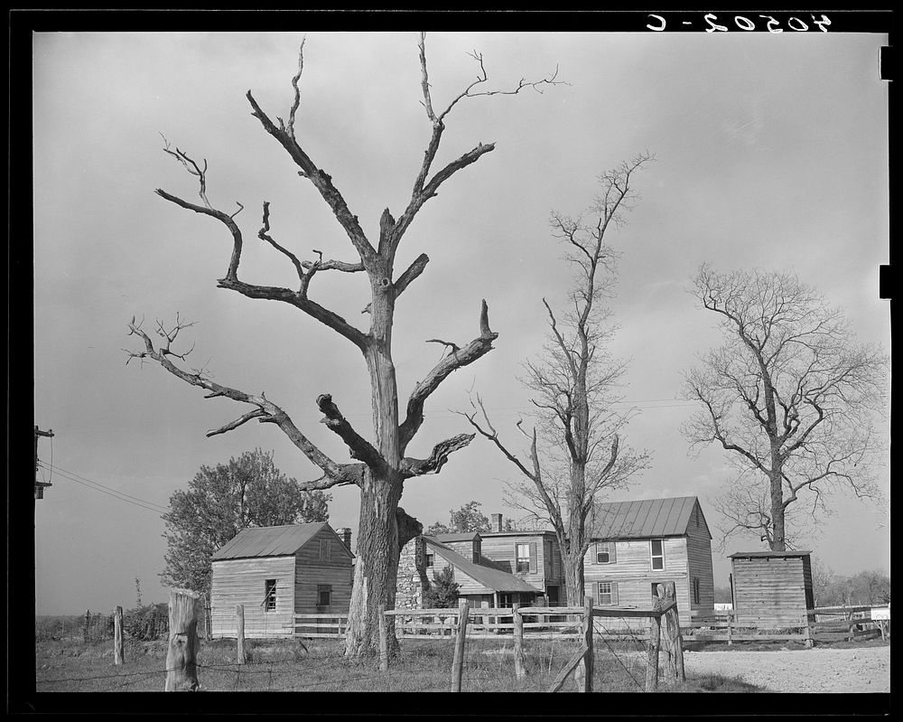 Houses at crossroads, two miles west of Sterling. Sourced from the Library of Congress.