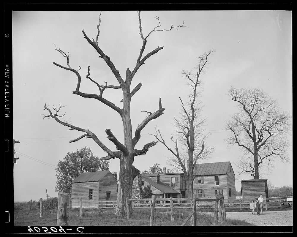 [Untitled photo, possibly related to: Houses at crossroads, two miles west of Sterling]. Sourced from the Library of…